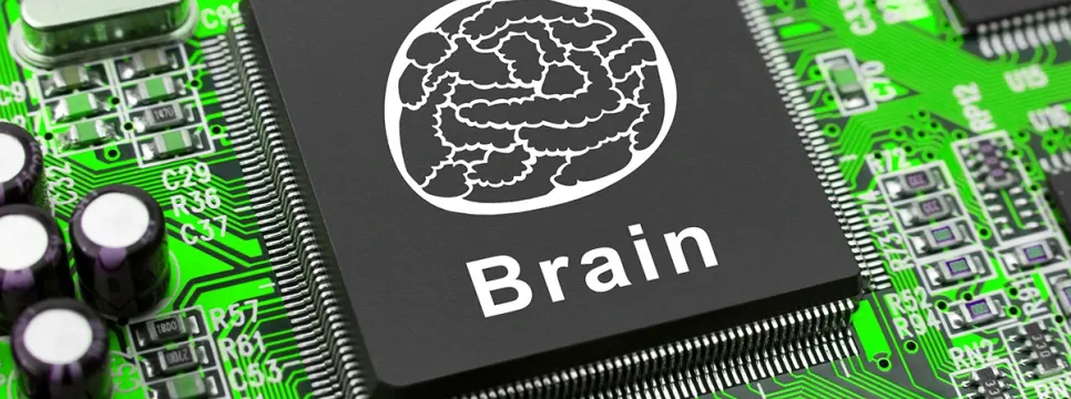 Most Enterprises in EMEA Report Productivity Gains from AI