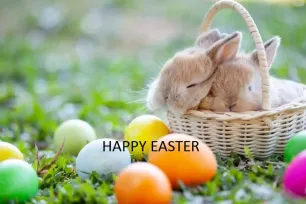 Happy Easter!