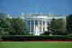 US Senate Blocks State AI Regulation Ban
