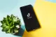 Trump Hints US and China Struck a Deal on TikTok Future