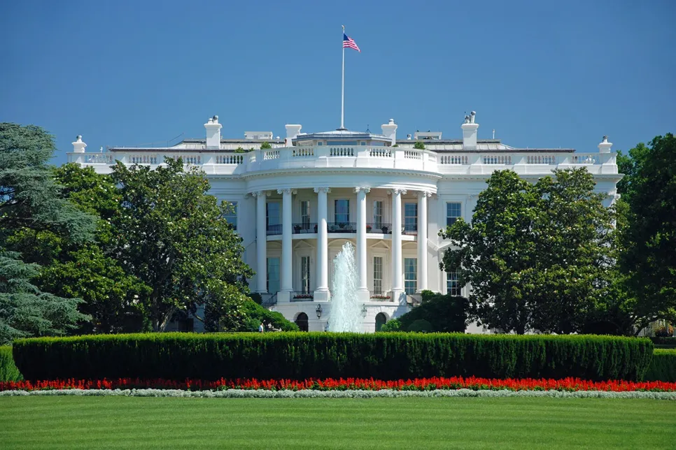 US Senate Blocks State AI Regulation Ban