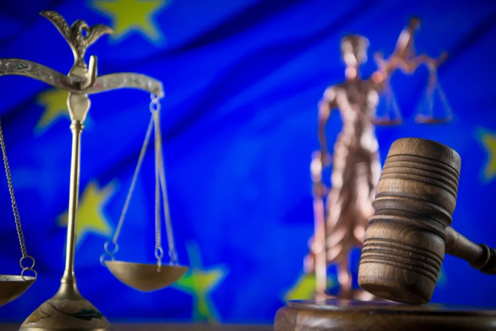 EC Referred Five EU Members to Court over DSA Failures
